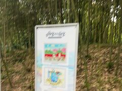 -都江堰中华大熊猫苑