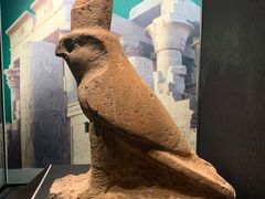 -遇见博物馆(遇见海洋沉浸式奇幻光影展)