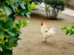 -森林公园(尖草坪区)