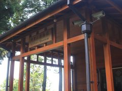 -阿里山神木遗迹