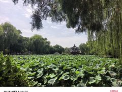 -莲池书院博物馆
