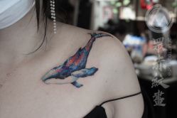 -众刺纹画·纹身·穿孔饰品·海娜定制