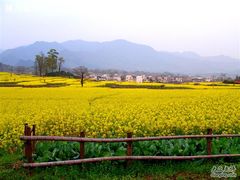 -桃花源漂流
