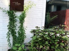 -Tian品