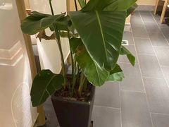 -吴家·淮扬小馆(世纪金源店)