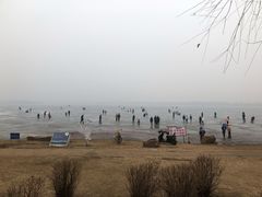 -丁香湖公园
