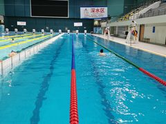 -重庆市奥林匹克体育中心-游泳跳水馆