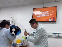 -中国农业大学动物医院