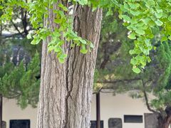 -苏州碑刻博物馆