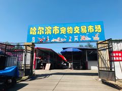 -哈尔滨市宠物交易市场