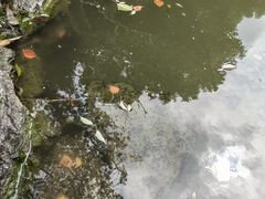 -汇龙潭