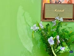 -SeekSeeking咖啡专门店(堰塘街店)