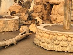 -西安秦岭野生动物园