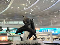 -青岛胶东国际机场
