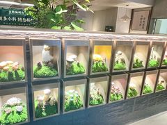 -菌自在·云南野生菌火锅(长安万达店)