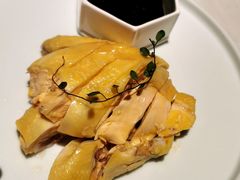 白斩散养鸡-绿波廊(豫园店)