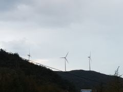 -东白山