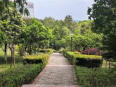 -西南政法大学(渝北校区)