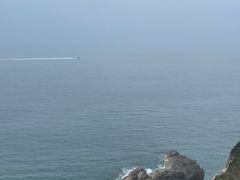 -杨梅坑