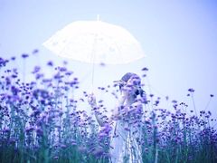-杭州湾海上花田景区