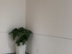 -极简口腔(总院)