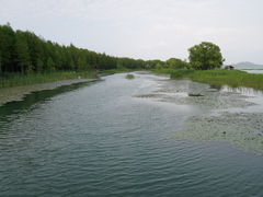 -苏州太湖湖滨国家湿地公园