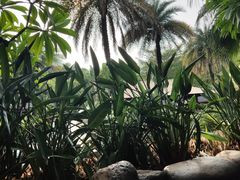 -厦门日月谷温泉渡假村