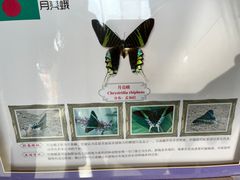 -呀路古热带植物园