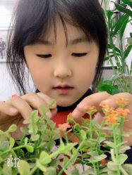 -苏薇摄影·照相馆