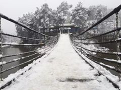 -铁山坪森林公园