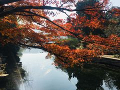 -西湖外事游船(花港观鱼码头)