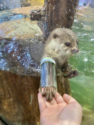 -Zoolung Zoolung动物主题公园(海信广场店)