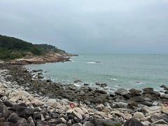 -广东惠东海龟国家级自然保护区