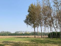 -汉长安城未央宫国家考古遗址公园