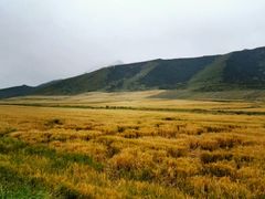 -扁都口生态休闲旅游区