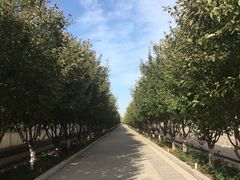 -北京美神宫艺术主题温泉酒店