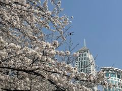 -西北湖绿化广场