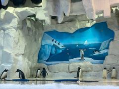 -华夏文旅海洋公园