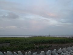 -南汇嘴观海公园
