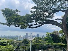 -花柏山公园