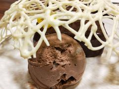 -百好乐宠物友好餐厅(朝外大街店)