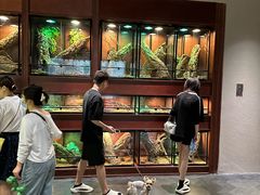 -帕帕拉兹宠物(亚洲旗舰店)