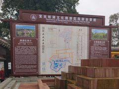 -桂湖森林公园