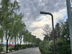 -洨河生态公园