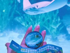 -沈阳海洋探索中心