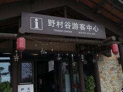 -黄陂区野村谷景区
