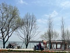 -放鹰台遗址