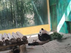-杭州野生动物世界