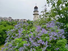 -金海湾滨江公园