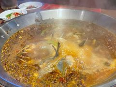 鱼火锅-红牌美蛙鱼头火锅(万辉国际广场店)